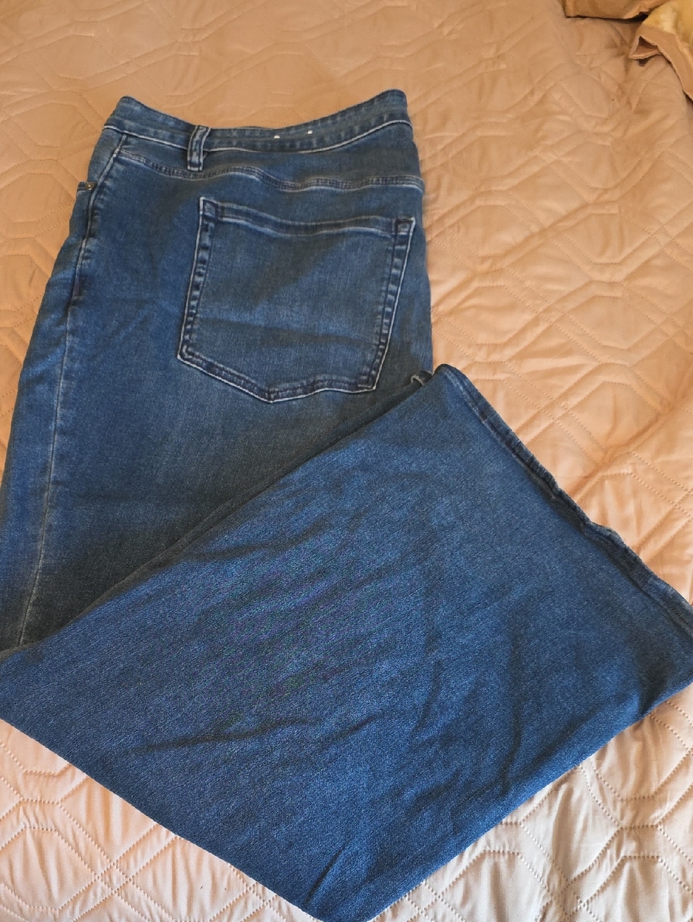 Lane Bryant Denim Wide-Leg Jeans in Blue